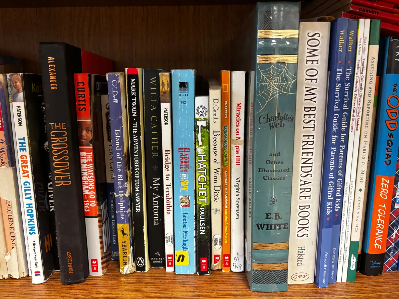 Teacher&rsquo;s phone photo of classroom books used as input to the catalog workflow